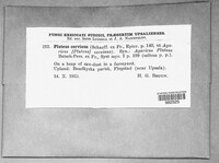 Image Associated With the Occurence